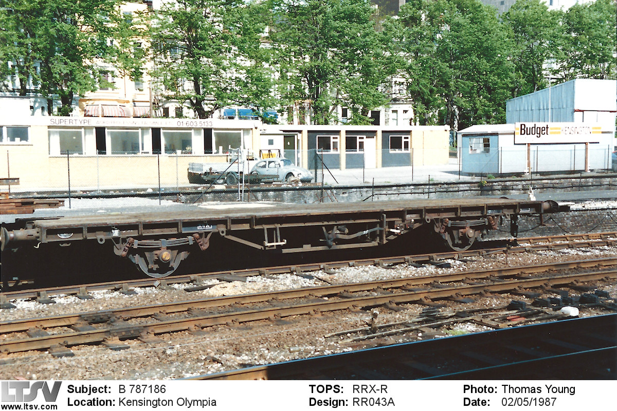 Extra Large Photo