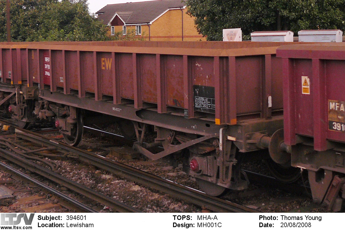Extra Large Photo