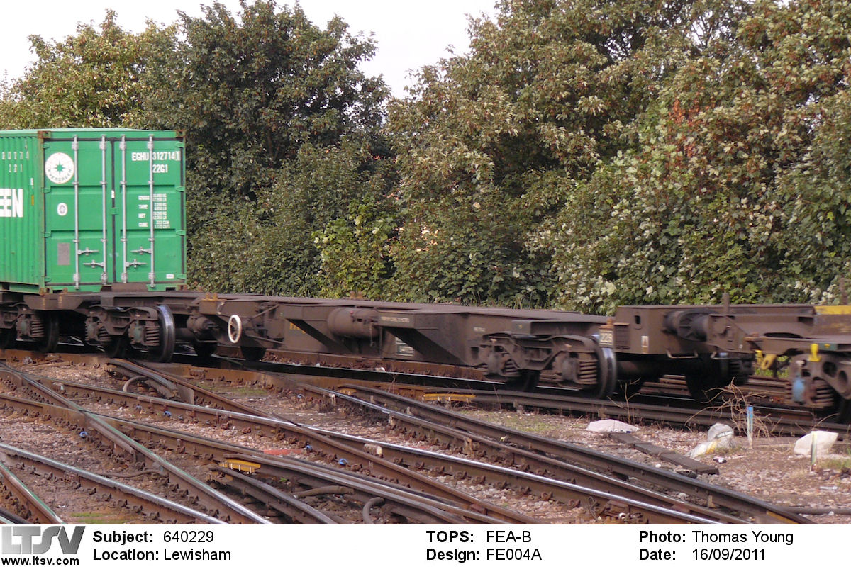 Extra Large Photo