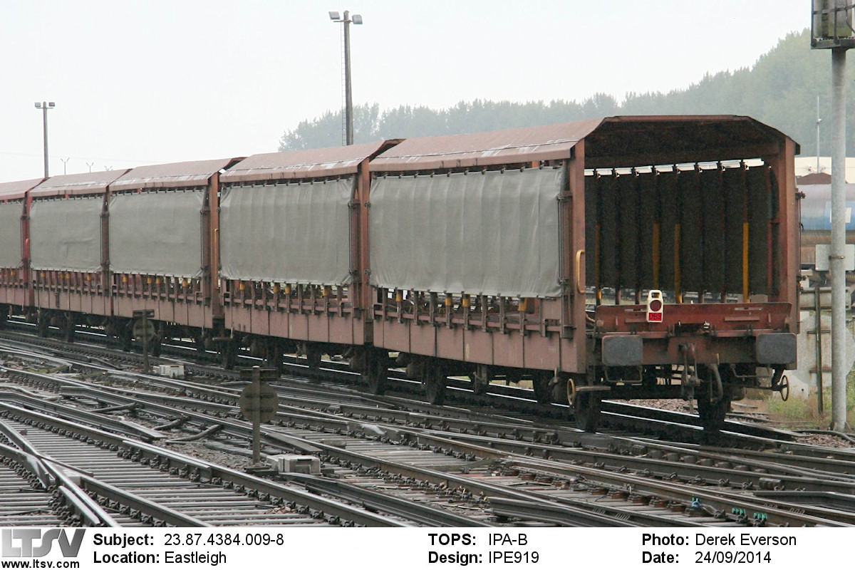 Extra Large Photo