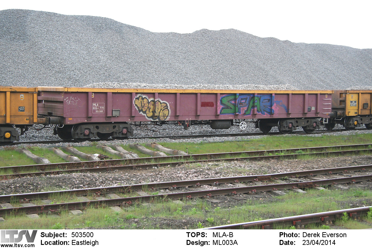 Extra Large Photo
