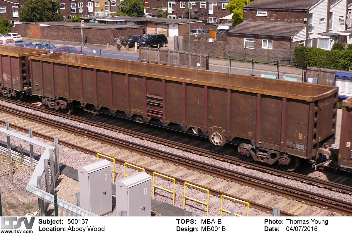Extra Large Photo