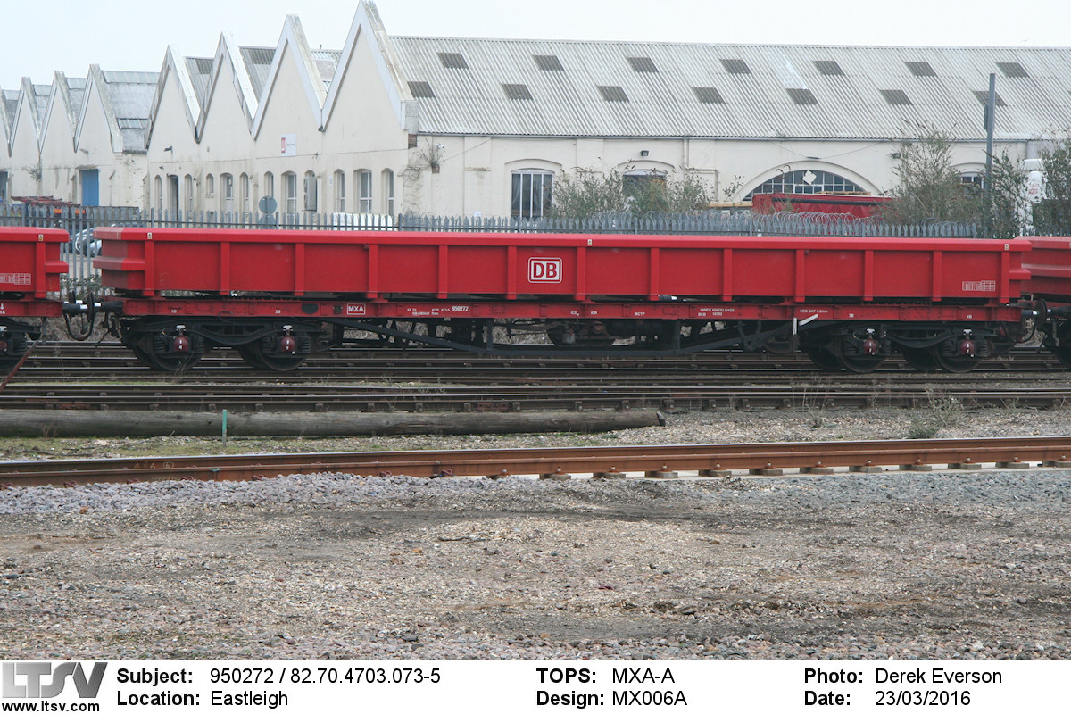 Extra Large Photo