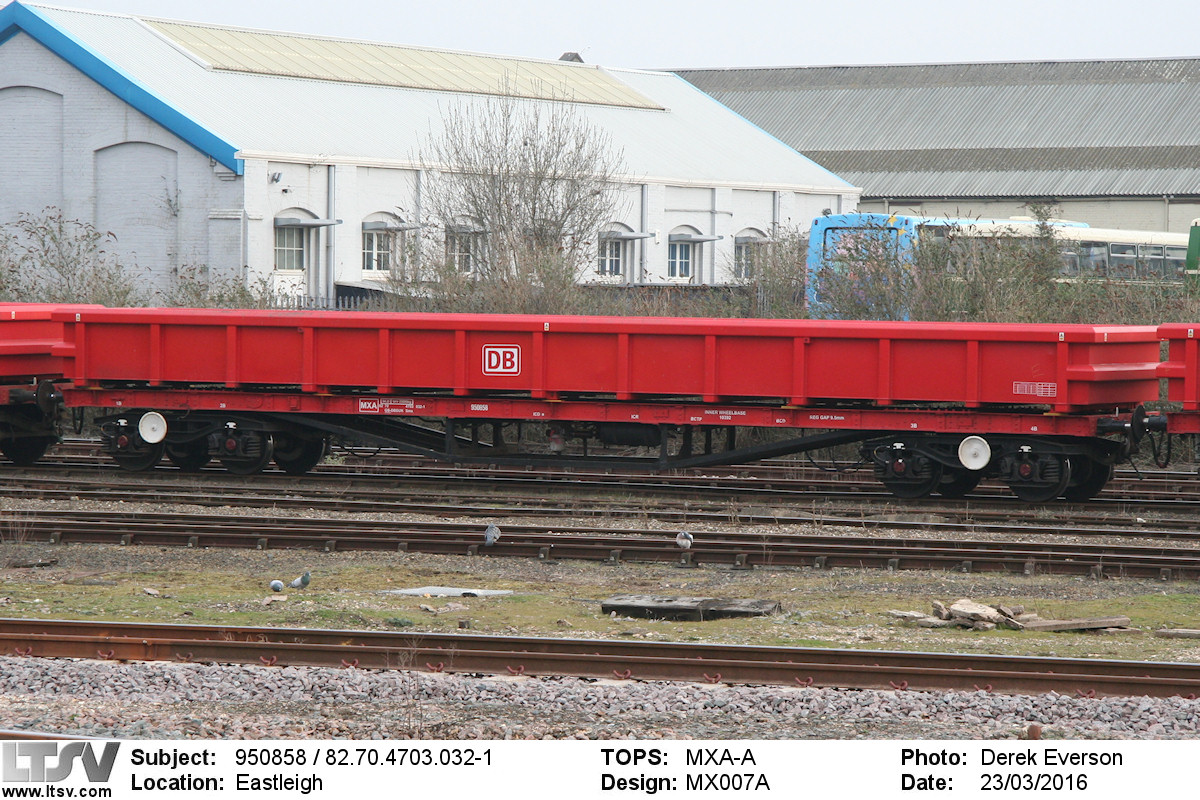 Extra Large Photo