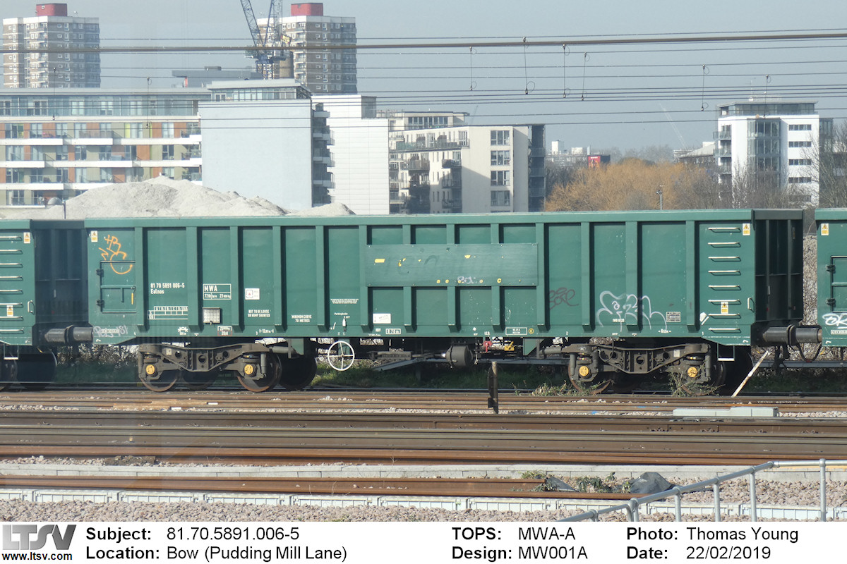 Extra Large Photo