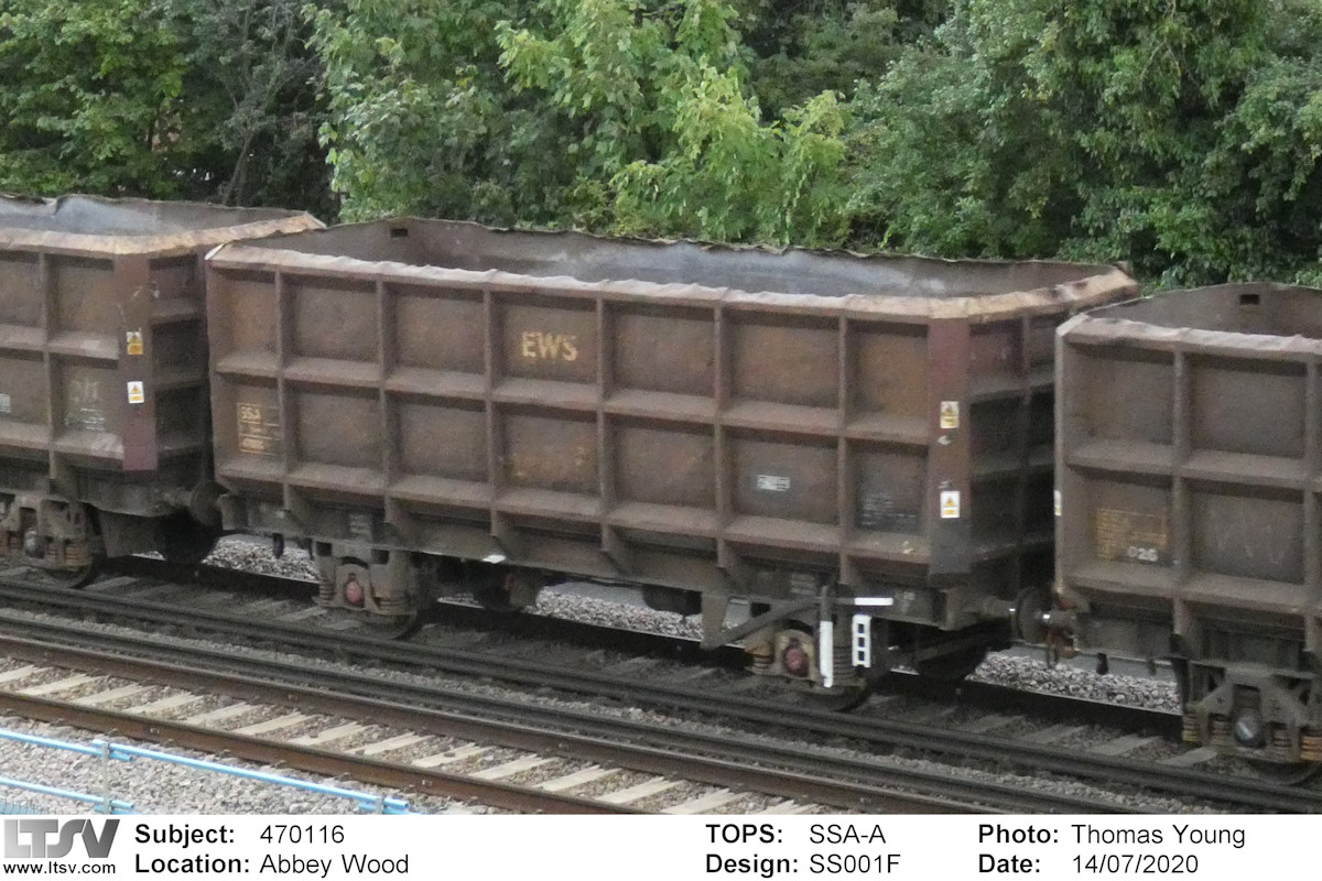 Extra Large Photo