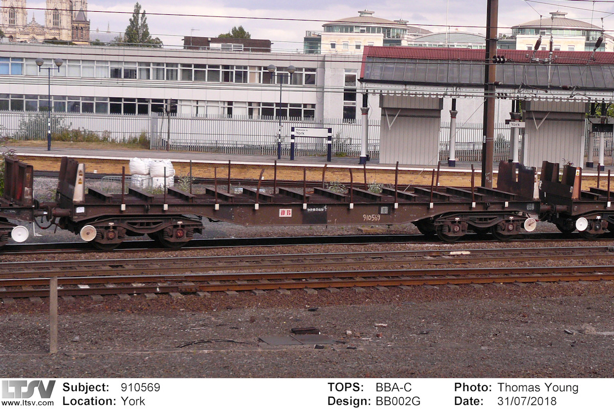 Extra Large Photo