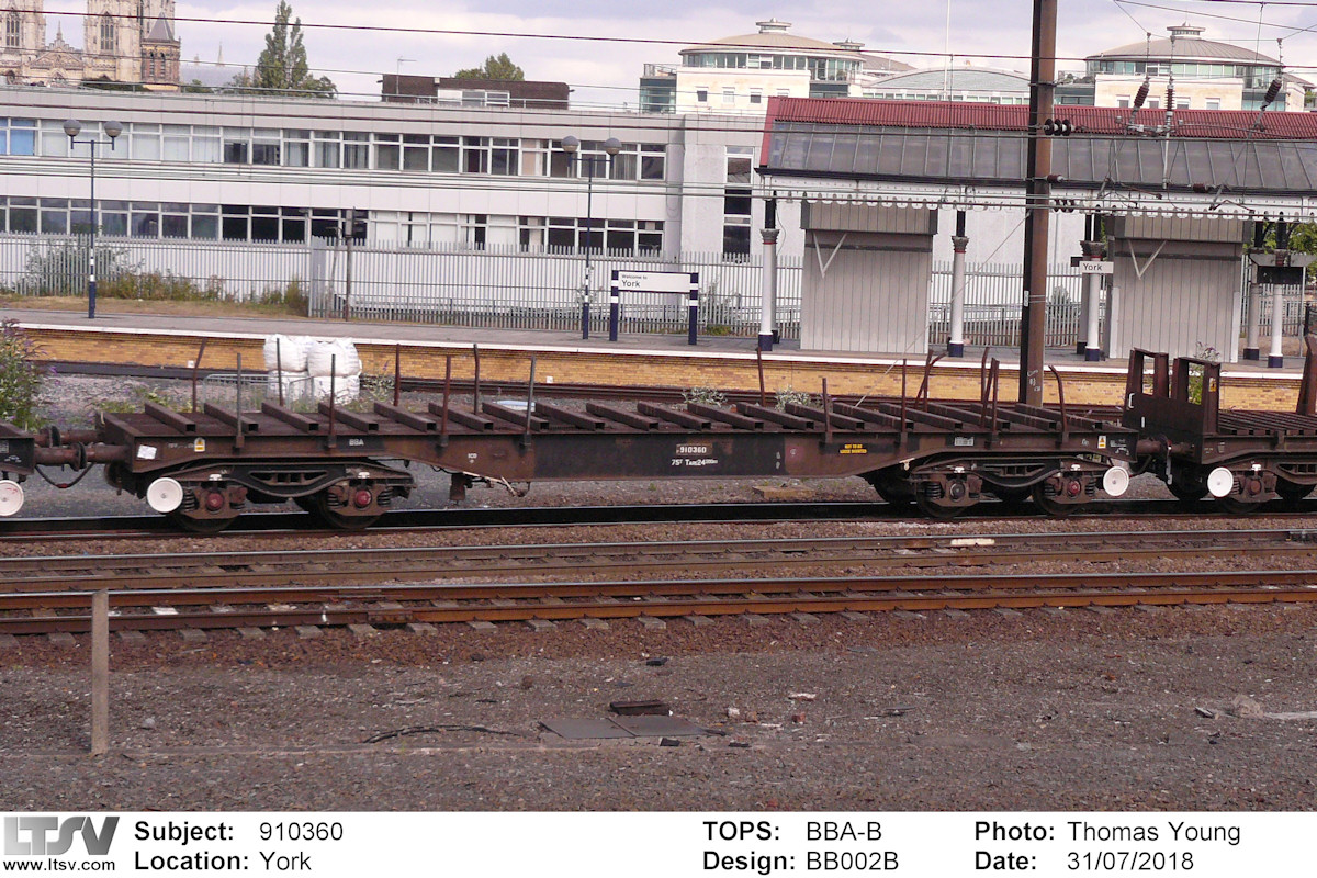 Extra Large Photo