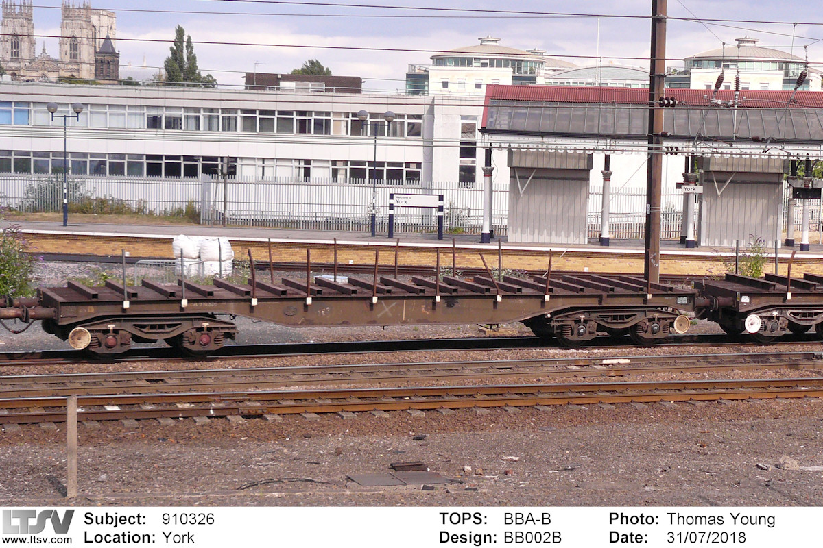 Extra Large Photo