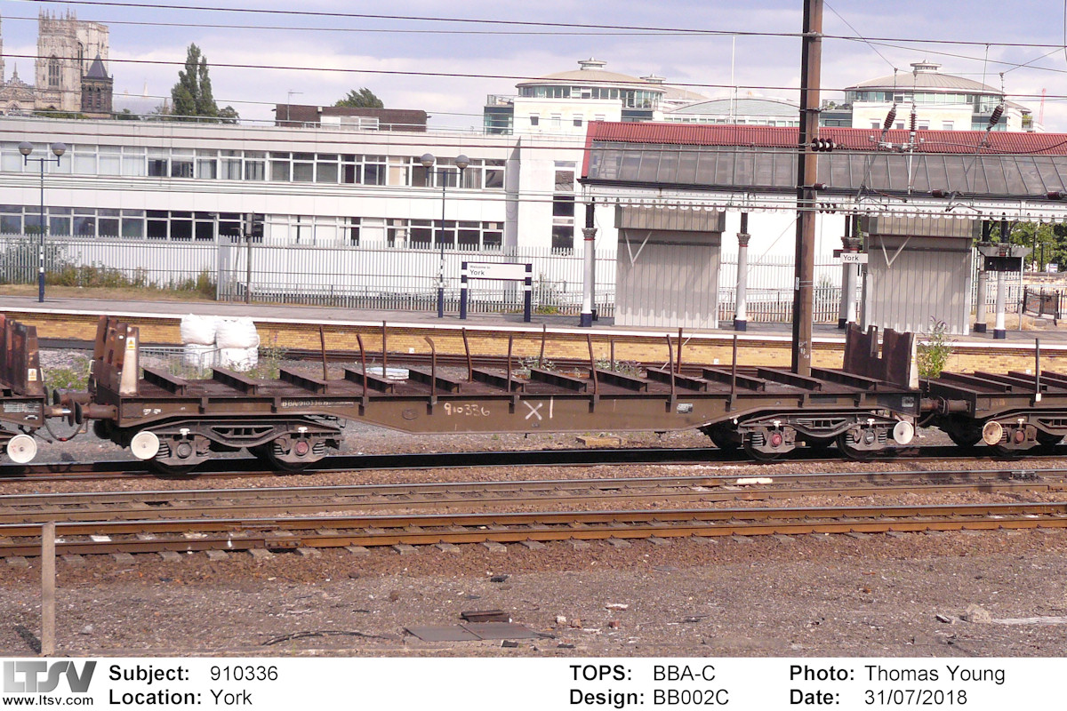 Extra Large Photo