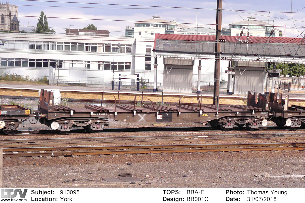 Extra Large Photo