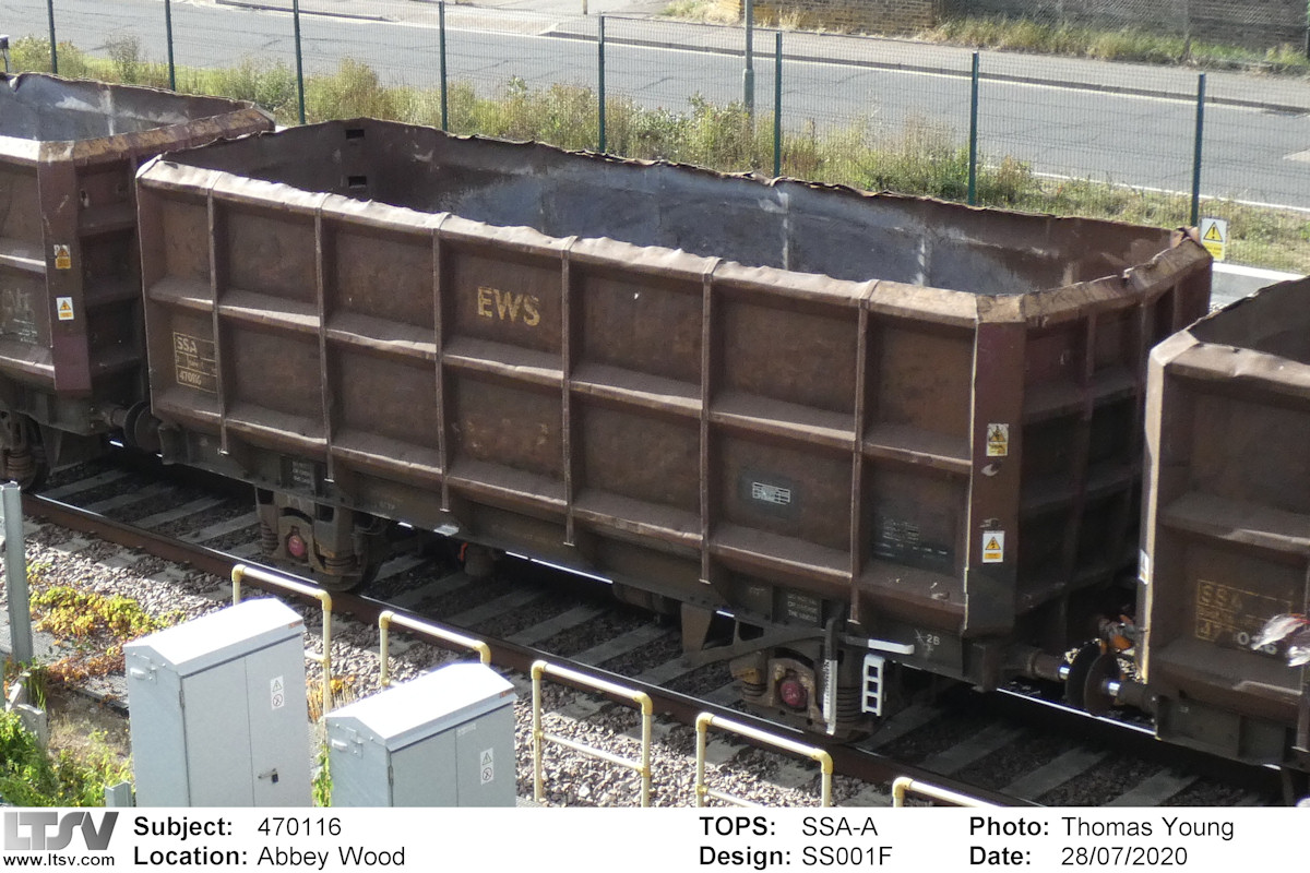 Extra Large Photo