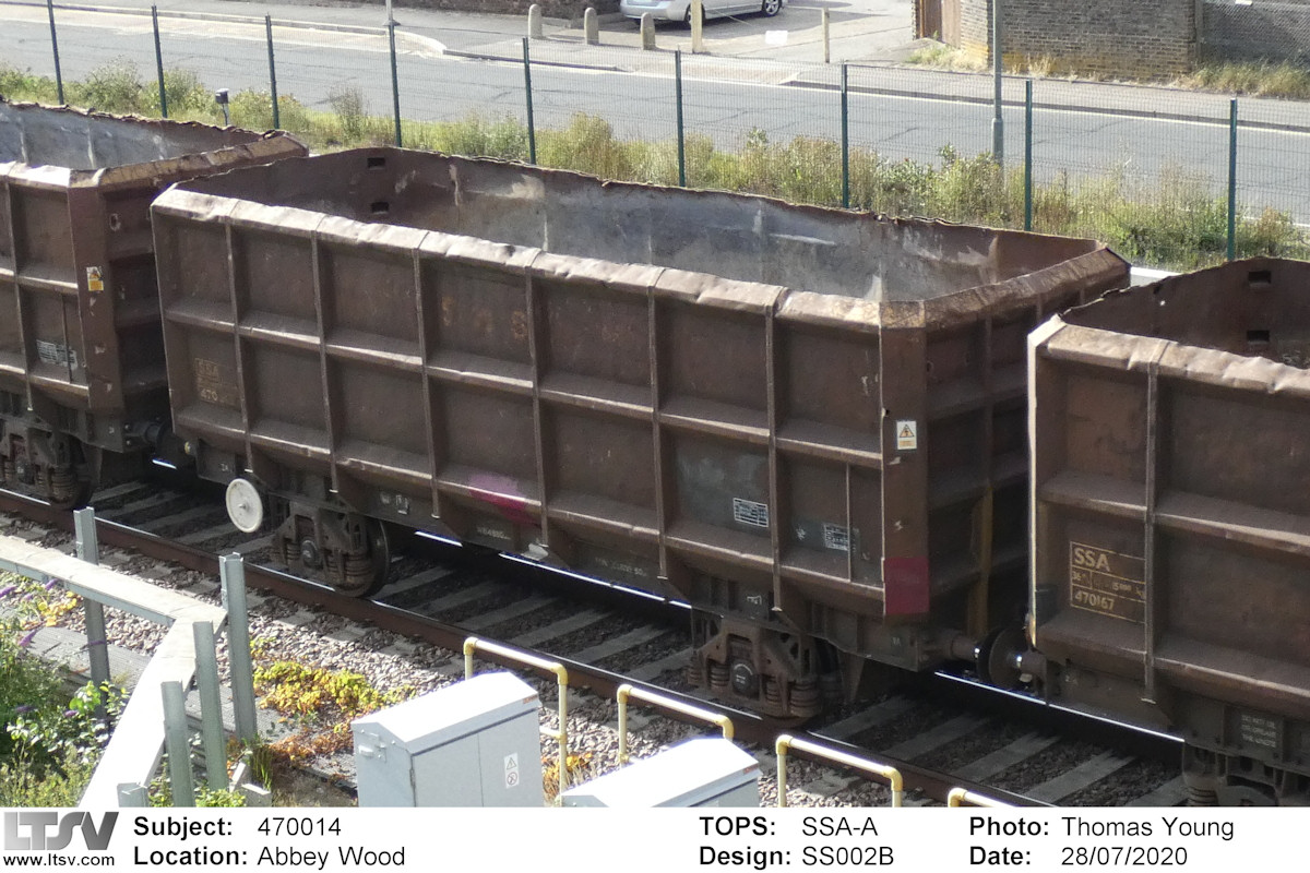 Extra Large Photo