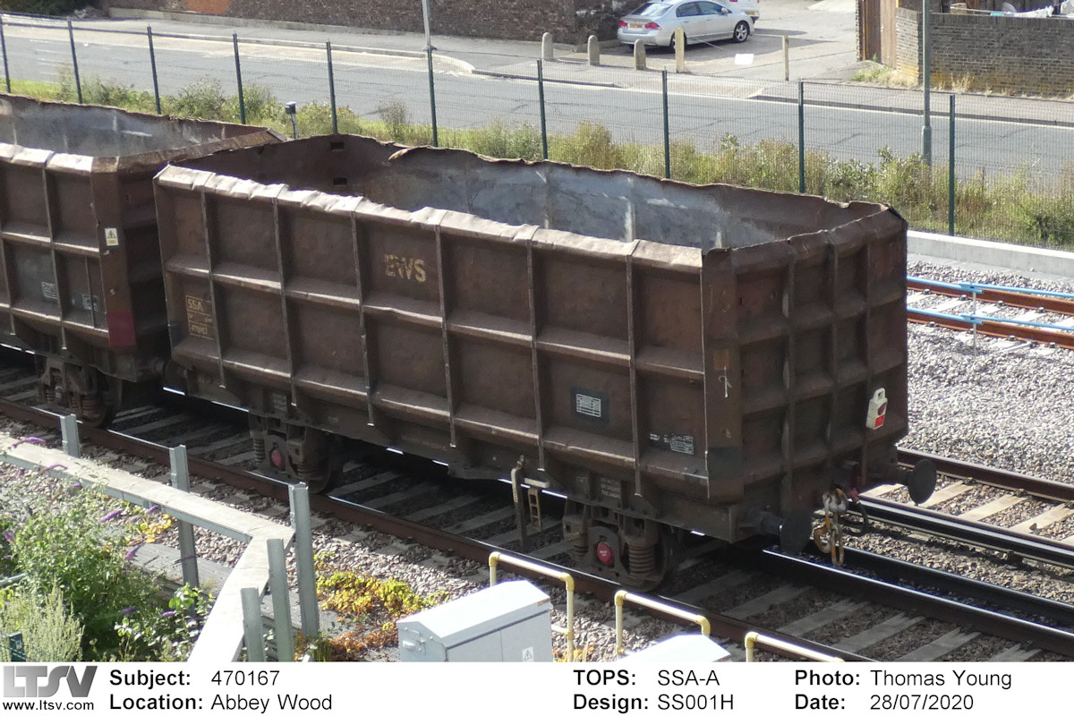 Extra Large Photo