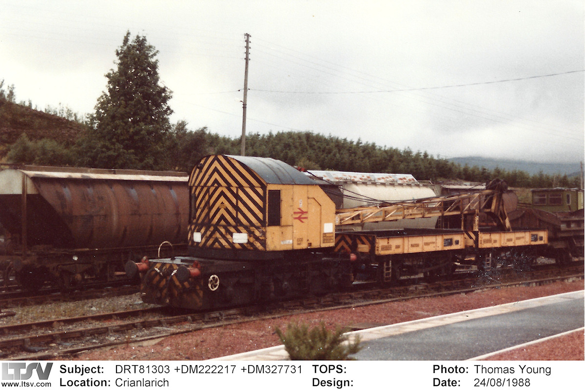 Extra Large Photo