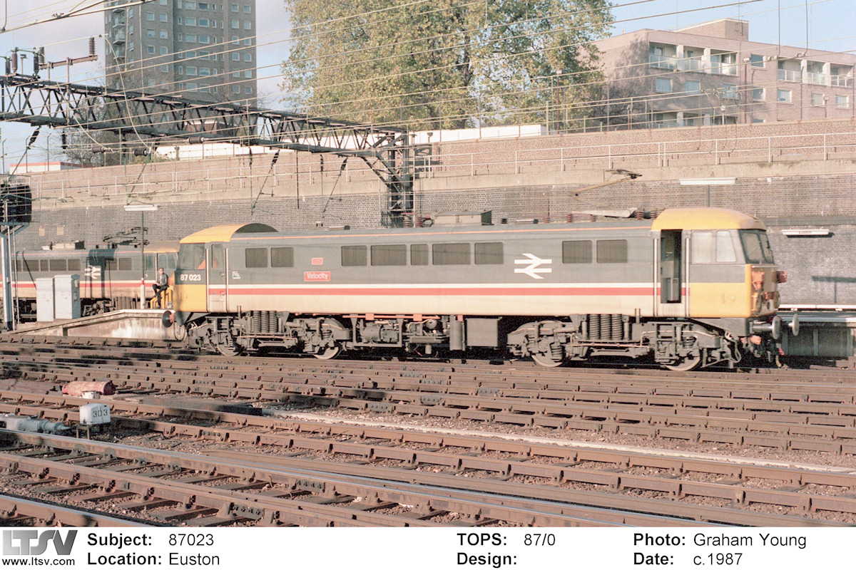 Extra Large Photo
