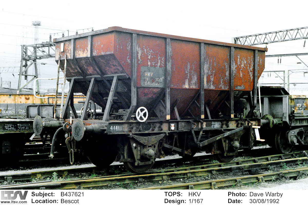 Extra Large Photo