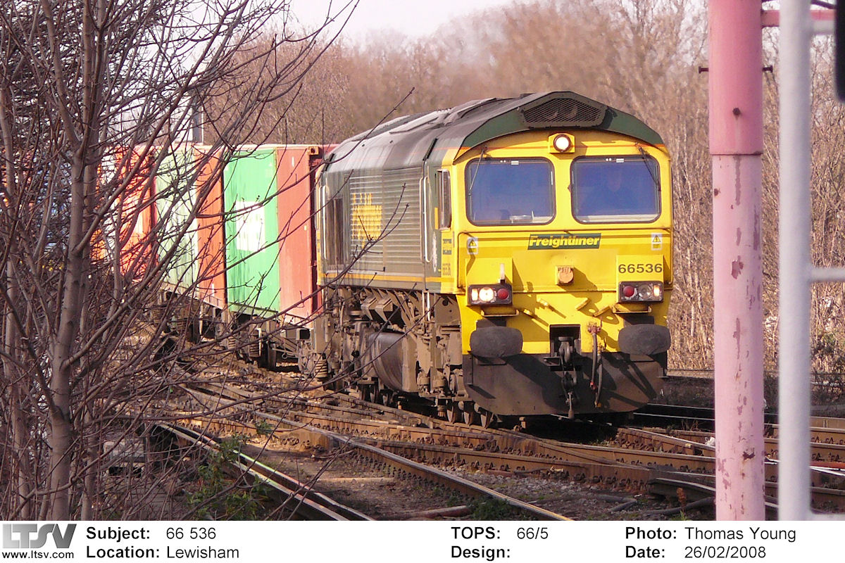 Extra Large Photo