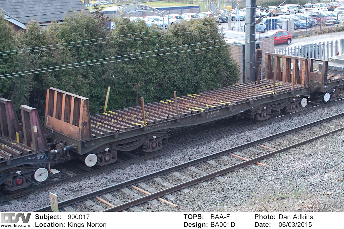 Extra Large Photo