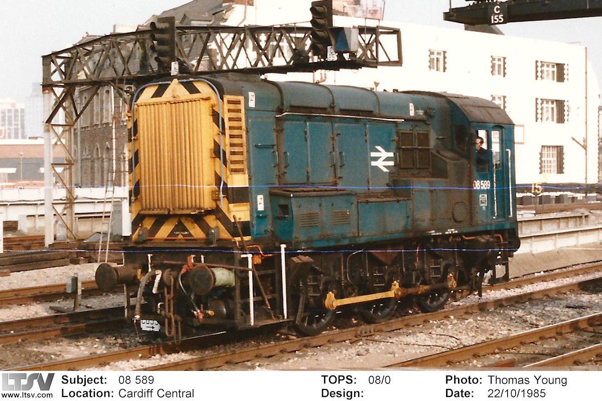 Extra Large Photo
