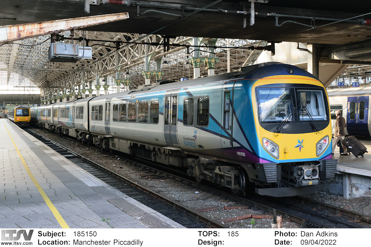 Extra Large Photo