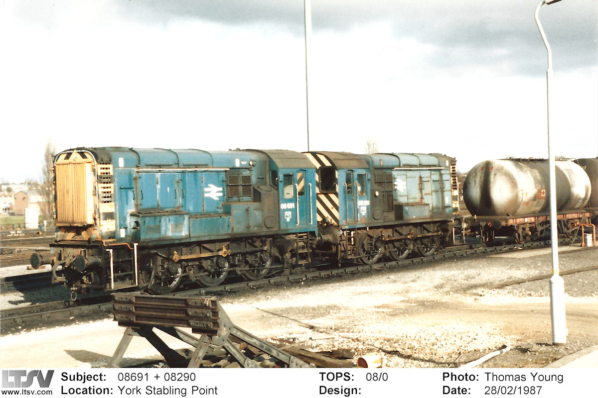 Extra Large Photo
