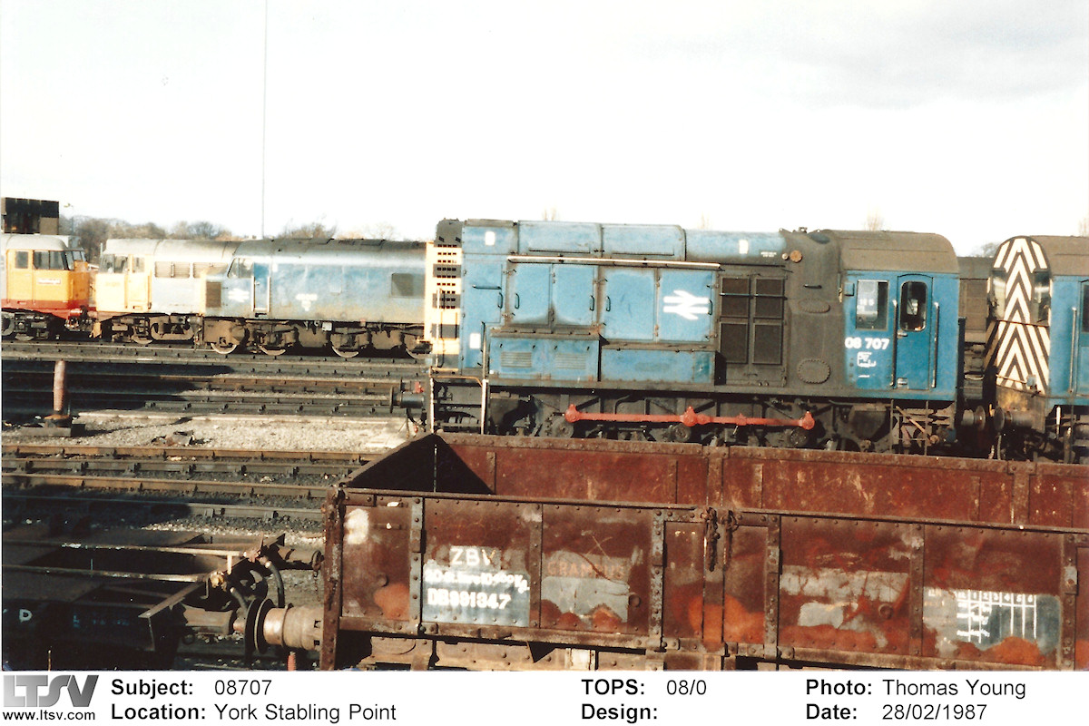 Extra Large Photo