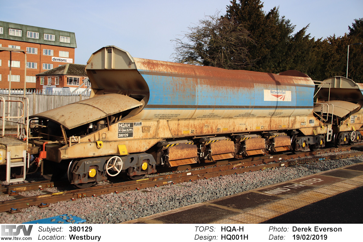 Extra Large Photo