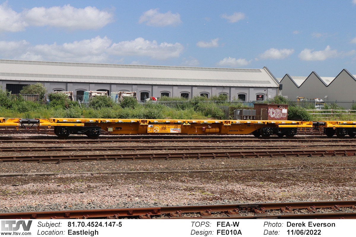 Extra Large Photo