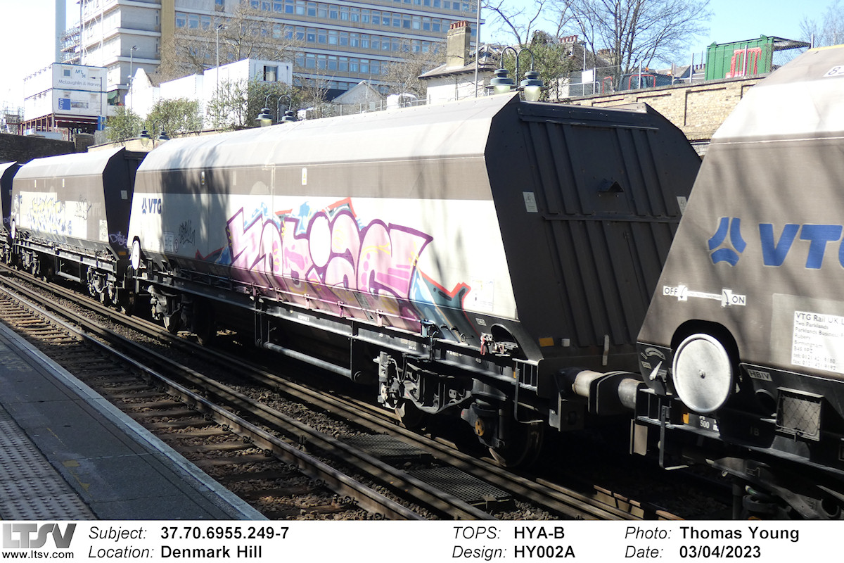 Extra Large Photo