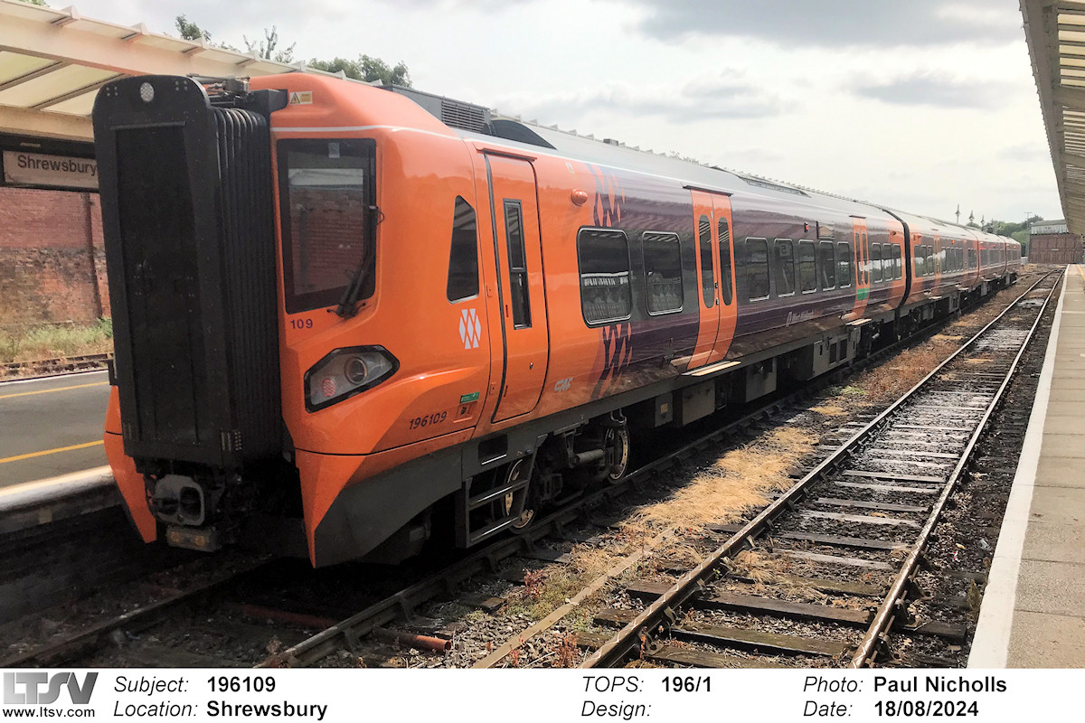 Extra Large Photo